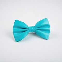 bow  tie on white background
