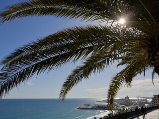 Naklejka premium View of beach with palm trees and sea from Mediterranean Balcony (Balcó del Mediterrani), Tarragona, Mediterranean sea cost of Spain