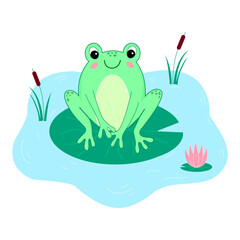 Hand drawn frog cartoon illustration