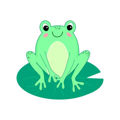 Hand drawn frog cartoon illustration
