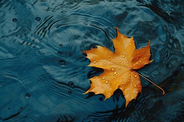 Maple Leaf on Rippling Blue Water Surface.