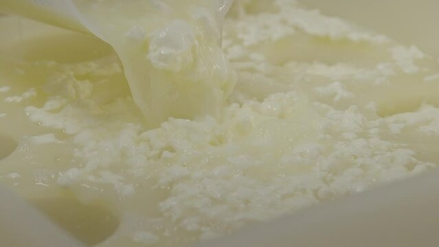Cheese making process, removing whey from milk