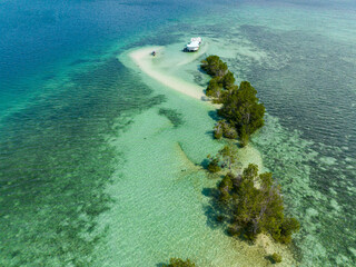 Beautiful turquoise ocean water and waves. Sandbar and mangroves. Vanishing Island. Samal, Davao. Philippines.