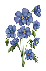 watercolor wildflowers flax, blue flowers, bouquet of blue flowers