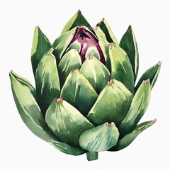 Fototapeta premium Watercolor illustration of artichoke. Organic green food. Hand drawn art. Aquarelle drawing.