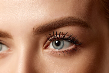 Obraz premium Close-up of beautiful female face, brows and blue eyes. Eye lenses, mascara and eyebrow products ads. Concept of natural beauty, cosmetology, cosmetics, skin care and health
