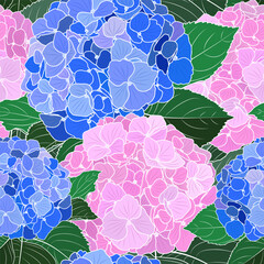 Vector botanical seamless pattern with blooming pink and blue hydrangea flowers.