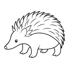 Echidna illustration coloring page for kids 