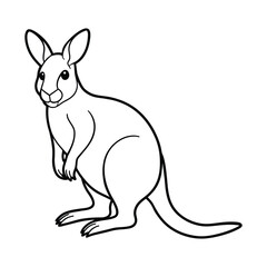 Wallaby illustration coloring page for kids