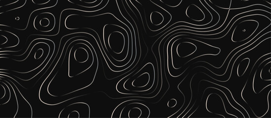 Abstract outline topographic contour map background. Dark texture background for your perfect interior. Old paper texture design .geographical map Imitation.	