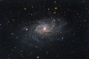 Galassia Triangolo - M33