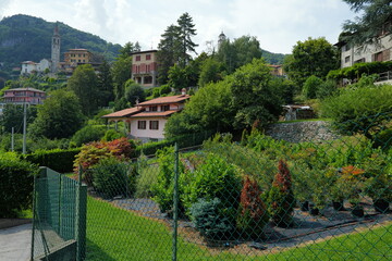 Fototapeta na wymiar Les hauteurs de Bellagio, Civenna