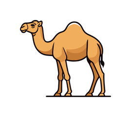 camel with good quality and design