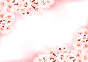 淡い水彩の桜のフレーム 背景 ぼかし 春 ピンク
