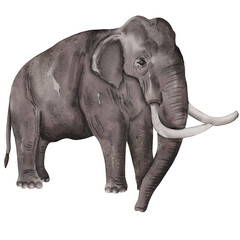 watercolor elephant painting clip art, animal illustration png