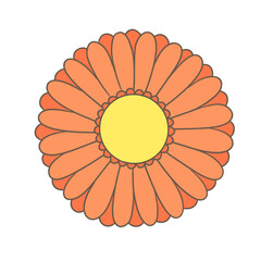 手描きのガーベライラスト