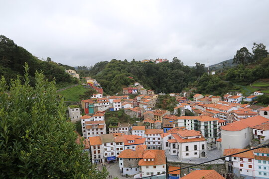 Paisaje rural