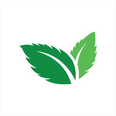 leaf mint logo template illustration