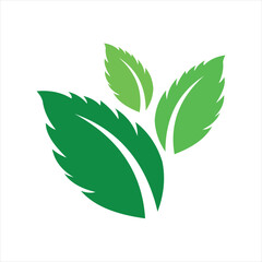 logo leaf mint natural logo