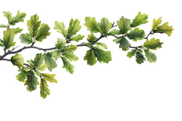 Cutout Branch with Green Leaves on corner border