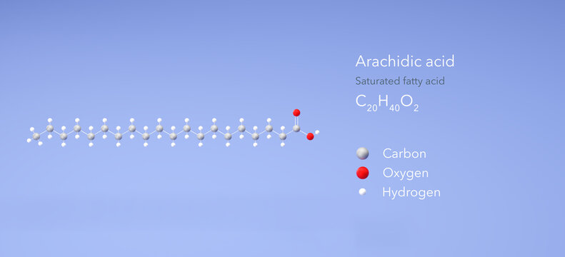 arachidic acid molecule, molecular structures, saturated fatty acid, 3d model, Structural Chemical Formula and Atoms with Color Coding