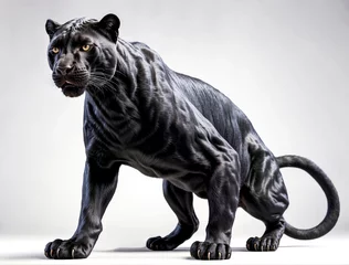 Tuinposter A black panther ready to snap against a white background © Thanawadee