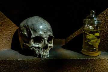 Still life with human skull and bottle of olive oil on dark background