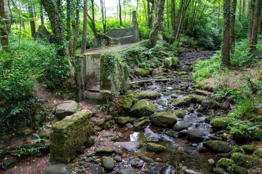Massys Estate in the Dublin Mountains, where nature's patient embrace breathes life into forgotten stone walls, reclaiming its rightful place in the scenic dance of past and present.