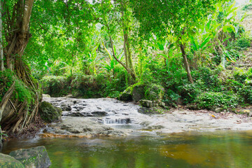 The water stream that flows from Sarika Waterfall Within Khao Yai National Park, Nakhon Nayok,...