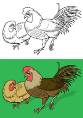 Rooster and hen for coloring and in color, symbolism of Asia