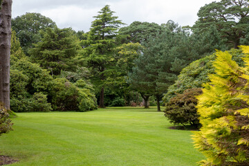 Muckross Garden in the Killarney National Park, County Kerry, Ireland