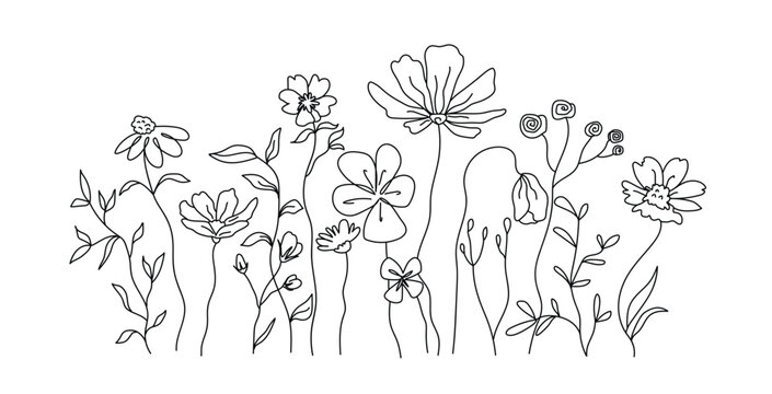 Line art flowers meadow vector, hand drawn wildflower line art, botanical garden line art