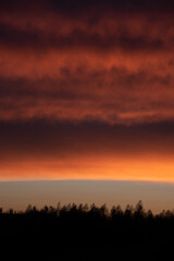 Dramatic sunset and silhouette of trees on the horizon - 752334697