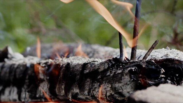 Abstract Oak Wood Bonfire in Flames Smoke and Ashes