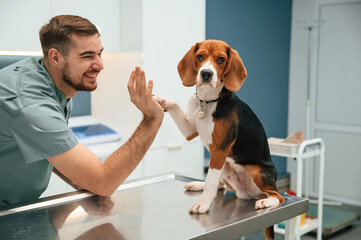 Giving high five with paw. Dog in veterinarian clinic with male doctor