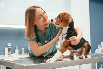Woman veterinarian is with dog in the clinic