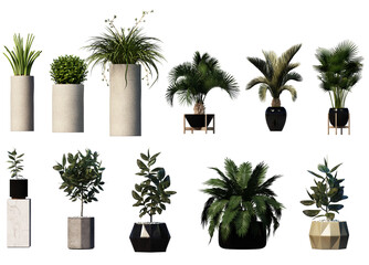 3D   render   various types of decorative plant pots