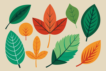 Flora in detail: vector set of leaves