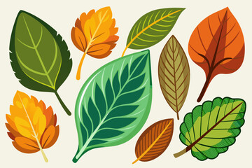 Obraz premium Vector collection: set of leaves