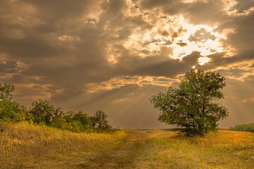 Fototapeta premium Moody Sepia Sunset