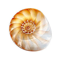 Obraz premium Charming Nautilus Shell with a Perfect Logarithmic Spiral Isolated on Transparent Background