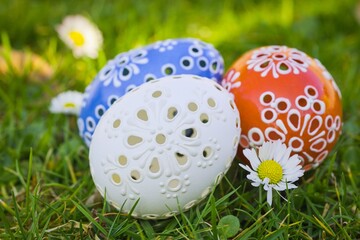 Easter eggs in the grass on a background of green grass with daisies