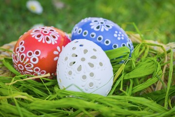Easter eggs in the grass on a background of green grass.