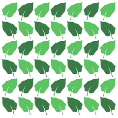 Spring Summer Natural Flowers Pattern Texture Background Vector