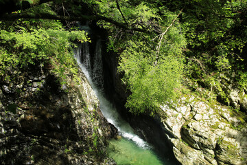 愛媛県久万高原町　面河渓の風景