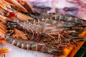 Assortment of fresh daily catch of prawns, shrimps, fishes, seashells, molluscs on ice on fish market in France
