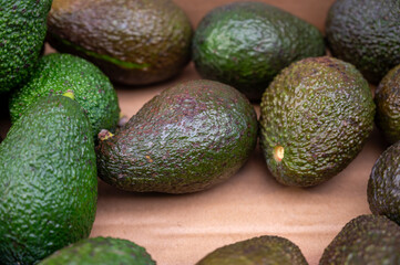Many fresh ripe green organic avocados in box on farmers market in Spain