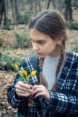 Beautiful caucasian girl with braids holding a bouquet of yellow crocuses at the background of a spring forest. - 752347251