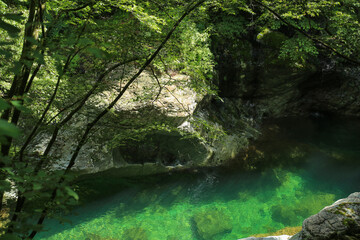 愛媛県久万高原町　面河渓の風景