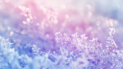 Cool mint and lavender, fresh morning frost theme, crisp clear light, abstract ice pattern, soft focus, serene template, pastel gradient, delicate texture, peaceful empty space